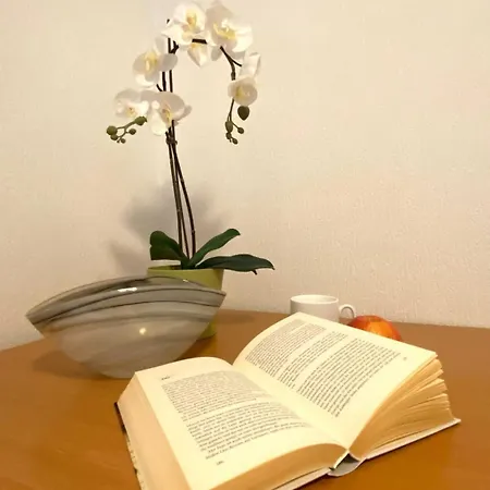 Suederhaus Hiddensee App 6 *